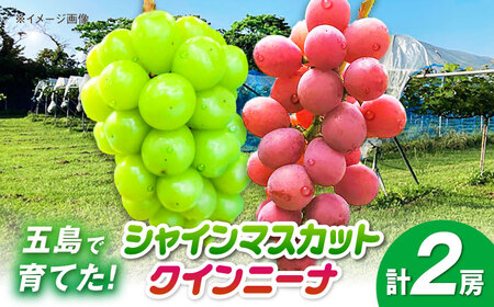 VC}XJbg1[NC[j[i1[ ܓs/HPIt@[[PCP019]