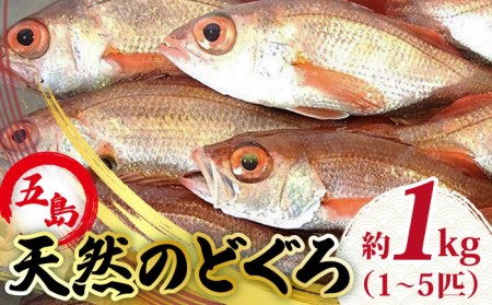 天然のどくろ (アカムツ) 1kg 高級魚 刺身 煮付け 五島市 / 五島FF [PBJ005]