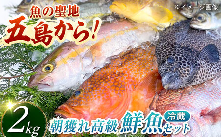 [朝獲れ]高級鮮魚2kg[PDP002] 鮮魚 鮮魚 鮮魚 鮮魚 鮮魚 鮮魚