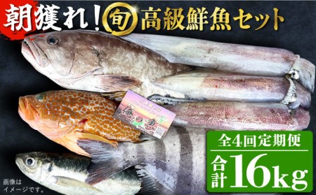 鮮魚 長崎の返礼品 検索結果 | ふるさと納税サイト「ふるなび」