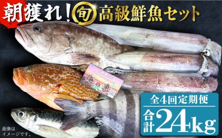 【全4回定期便】【五島列島・直送】朝獲れ！高級鮮魚セット6kg 五島市 / 鯛福丸水産 [PDP007] 魚 鮮魚 セット 海鮮 直送 さかな 詰合せ 冷蔵 定期 九州