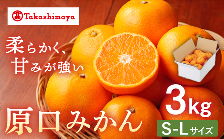 みかん [高島屋選定品][九州屋][先行予約]原口みかん3kg(S?Lサイズ)[高島屋] 限定数100 [CFQ055] みかん みかん みかん みかん みかん みかん