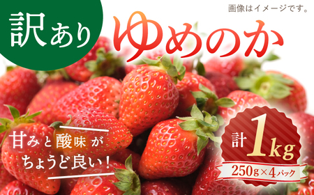 いちご [先行予約][ 訳あり ] ゆめのか 苺 約 1kg (250g×4パック) 長崎 西海 イチゴ いちご 苺 ゆめのか いちご 訳あり 家庭用 [川原農園] 