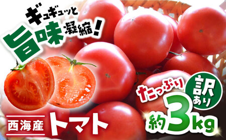 [先行予約][ 訳あり ] トマト 西海市産 3kg トマト とまと 西海市 野菜 新鮮 旬 期間限定トマト [株式会社ミスズアグリ西海] 