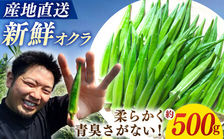 [☆先行予約☆][朝採れ旬野菜]オクラ 約500g 長崎 西海 オクラ おくら 贈答 ギフト [パッパラパー農園] 