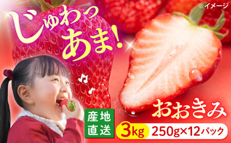   3kg_CFV006 