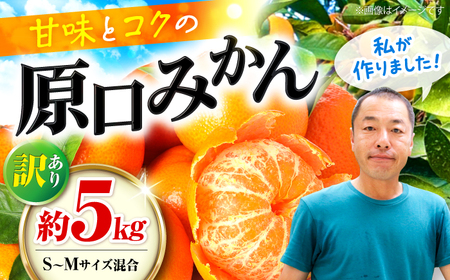 みかん [ご家庭用][訳あり] 原口みかん 約 5kg(S〜Mサイズ混合) [最強の兼業農家山田さん] [CCX009] 長崎 西海 みかん ミカン 蜜柑 柑橘 みかん 温州みかん 訳あり みかん