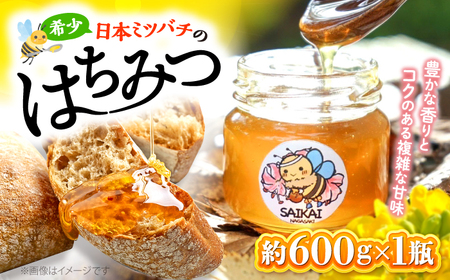 [希少な日本ミツバチ] 国産 蜂蜜 約600g 〜西海からの贈り物〜[おばま養蜂農園][CFY001] 長崎 西海 蜂蜜 はちみつ ハチミツ はちみつ ハチミツ 国産 