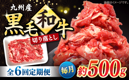 6回定期便 長崎県産 黒毛和牛 切り落とし 500g[宮本畜産]CFA051 切り落とし 牛肉切り落とし 切り落とし 牛肉切り落とし 牛肉切り落とし 牛肉切り落とし 牛肉切り落とし 牛肉切り落とし