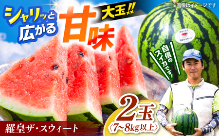 �X�C�J ���c�U�E�X�E�B�[�g 2�� �X�C�J �y2026�N6�����{���珇�������z [CGM006]  ������ �X�C�J