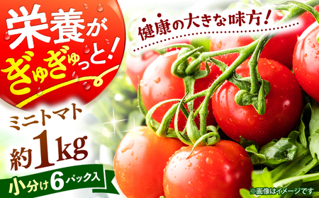 [11月上旬より順次発送] ミニ トマト 1kg [CGP001] トマト 野菜 新鮮 赤 ミニ とまと 小分け