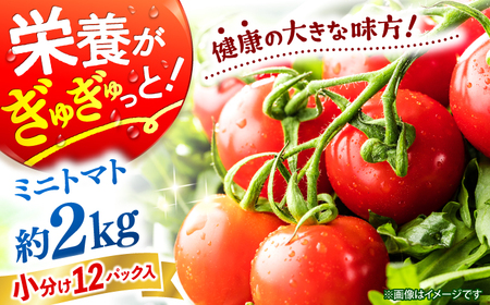 y11{z ~jg}g 2kg  [CGP002]   ~jg}g