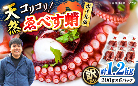[訳あり] たこ 計1.2kg(約200g×6パック) [CAR010] たこ たこ たこ たこ タコ タコ タコ
