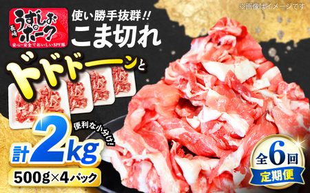 6 肤|[N ܐ؂ 2kg CAG316 ܐ؂ 󂠂
