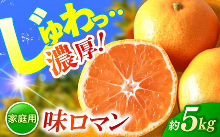 ご家庭用みかん| 長崎 味ロマン みかん 約5kg[長崎西彼農業協同組合]