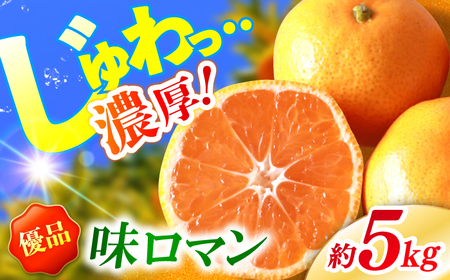 優品みかん| 長崎 味ロマン みかん 約5kg[長崎西彼農業協同組合]
