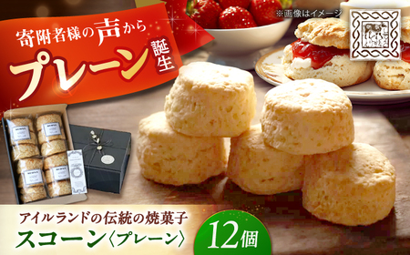 プレーンスコーン 12個入り[CEM009] スコーン お菓子
