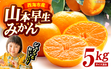 [11月中旬より配送開始] 山本早生 みかん 約5kg(S,Mサイズ混合)[濱崎ファーム] [CGT001] みかん