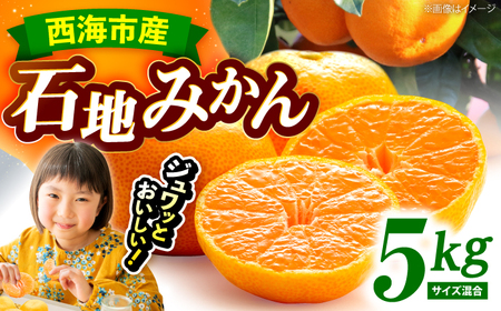 [12月中旬より配送開始] 石地みかん 約5kg (S,Mサイズ混合)[濱崎ファーム] [CGT003] みかん