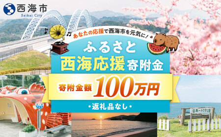 【返礼品なし】 長崎県 西海市 ふるさと応援寄附金（100万円分）【長崎県西海市】[CZZ032]