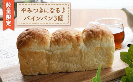 [数量限定]長崎といえば! パインパン3個 [岡崎製パン所] 