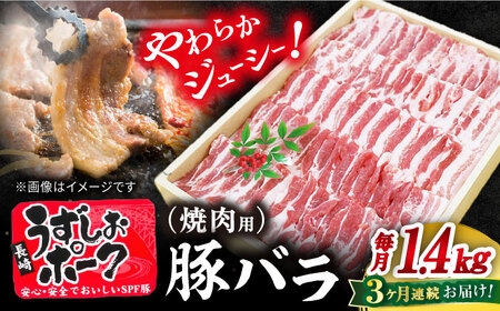 [訳あり][3回定期便] 焼肉 用 豚バラ 長崎うずしおポーク バラ( 焼肉 用)1.4kg[スーパーウエスト][CAG113] 長崎 西海 豚 ブランド豚 豚バラ バラ BBQ ブランド BBQ 