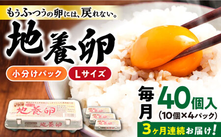 最高級 たまご [3回定期便]かきやまの「地養卵」 Lサイズ 40個[垣山養鶏園][CBB002] 長崎 西海 生卵 たまご 鶏卵 卵 ギフト セット 卵焼き 卵かけご飯 ゆで卵 卵とじ 生卵 鶏卵 卵黄 卵白 国産 養鶏 鶏 ギフト セット 卵焼き 卵かけご飯 贈答 タマゴ 料理 贈答 定期便 料理 お取り寄せ たまご焼き ゆで卵 卵とじ 高級 Lサイズ 