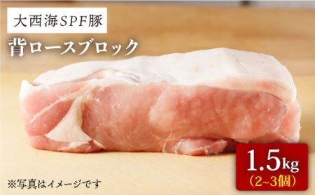 [訳あり][肉塊で肉会]大西海SPF豚 背ロースブロック 計1.5kg(2〜3個)[大西海ファーム]