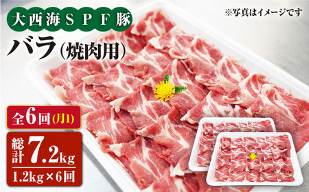 y6ցz吼CSPF oiēpjv1.2kg吼Ct@[ [CEK083]