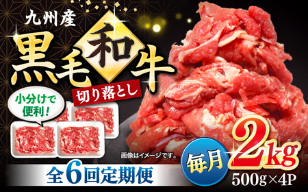 y6ցz 茧Y јa ؂藎Ƃ 2kg CFA009 a ܐ؂ ֗ 