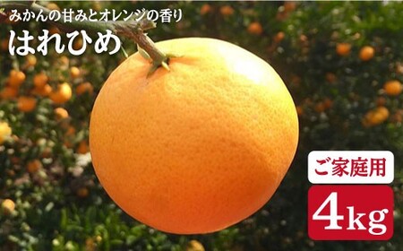 みかん はれひめ [先行予約][☆ご家庭用 みかん ] はれひめ 約4kg(サイズ混合)[広津農園] [CBN003] 長崎 西海 みかん ミカン 蜜柑 みかん はれひめ みかん