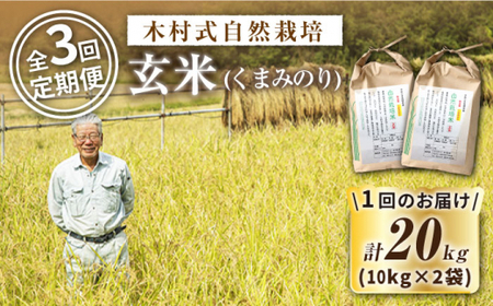 【2025年10月より発送】3回定期便 玄米 くまみのり20kg＜ハマソウファーム＞CBR023 玄米 玄米 玄米 玄米 玄米 玄米