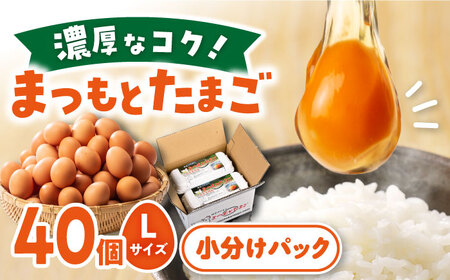 まつもと たまご Lサイズ 赤玉 40個(10個×4パック) 長崎県産 西海市 たまご 卵 玉子 タマゴ 鶏卵 オムレツ 卵かけご飯 朝食 料理 人気 卵焼き [松本養鶏場]