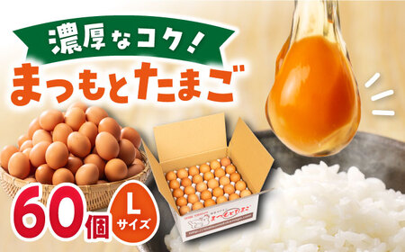 まつもとたまご Lサイズ 赤玉 60個 長崎県産 西海市 たまご 卵 玉子 タマゴ 鶏卵 オムレツ 卵かけご飯 朝食 料理 人気 卵焼き [松本養鶏場]