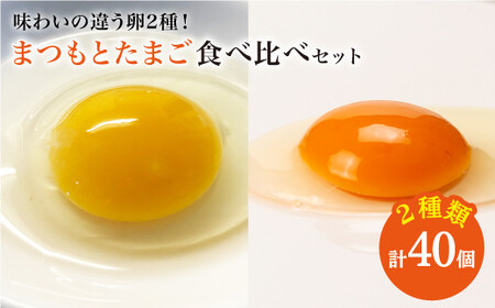 まつもと たまご&平飼い しあわせたまご 各20個(計40個)[CCD020] 卵 卵 卵 卵 卵 卵 卵