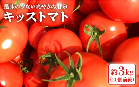 高糖度 トマト [糖度7度の果実]キッス トマト (ばら詰め)約3kg[大島造船所 農産グループ] [CCK026] トマト トマト とまと フルーツトマト トマト こだわりトマト トマト おすすめトマト キッストマト トマト おススメトマト トマト 人気トマト 定番トマト トマト 通販トマト トマト お取り寄せトマト 自宅用トマト 贈答トマト トマト トマト とまと 西海トマト トマト キッストマト 甘いトマト 贈答 ギフト トマト トマト とまと フルーツトマト トマト こだわりトマト トマト おすすめトマト キッストマト トマト おススメトマト トマト 人気トマト 定番トマト トマト 通販トマト トマト お取り寄せトマト 自宅用トマト 贈答トマト トマト トマト とまと 西海トマト トマト キッストマト 甘いトマト 贈答 ギフト