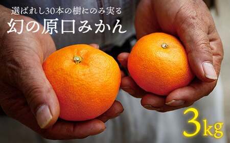 先行予約 幻の原口みかん 約3kg [原口果樹園][CCW004] みかん