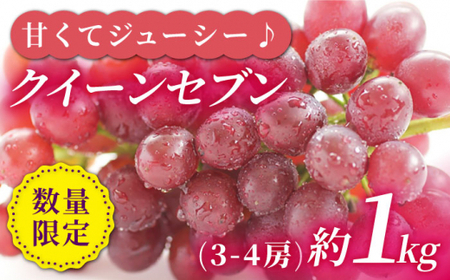 先行予約 クイーンセブン 約1kg[山田果樹園]CCX007 ぶどう ぶどう ぶどう ぶどう ぶどう ぶどう ぶどう