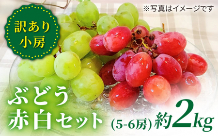 先行予約 訳あり 詰め合わせ赤白セット 約2kg[山田果樹園]CCX008 ぶどう ぶどう ぶどう ぶどう ぶどう ぶどう ぶどう