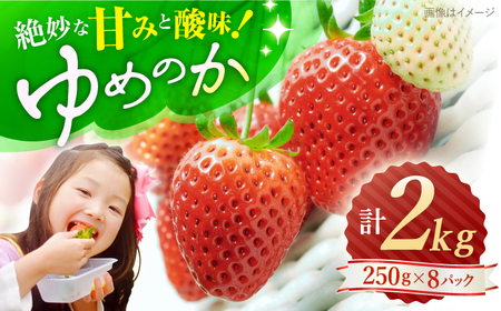 [先行予約] ゆめのか いちご 計2kg(250g×8パック) [川原農園] [CDR010] 長崎 西海 イチゴ ゆめのか