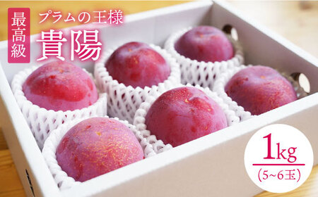 プラム 貴陽 約1kg(5〜6玉) 西海市産 貴陽 すもも[竹嶋農園] [CEB001] スモモ スモモ スモモ スモモ スモモ