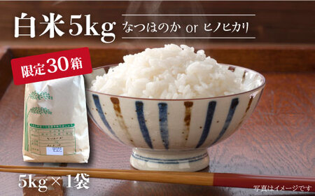 [先行予約☆数量限定]令和6年産 新米 ! 白米 ( なつほのか or ヒノヒカリ ) 5kg [夢農園 モリピー] [CEJ001] 米 白米 新米 ひのひかり 5kg