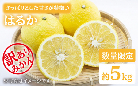 [数量限定][訳あり]はるか 約5kg[中尾果樹園] 