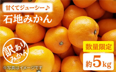 みかん 西海[ 訳あり ] 石地みかん 約5kg みかん ミカン 西海市 温州みかん 石地みかん 贈答 ギフト 家庭用 [中尾果樹園] 