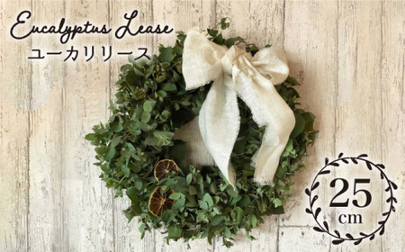 ユーカリリース＜Pearl Bay Cafe & Flowers＞ [CEW004]リース