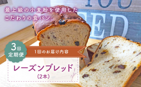 [3回定期便] レーズンブレッド 2本[CFL014] パン パン パン パン パン