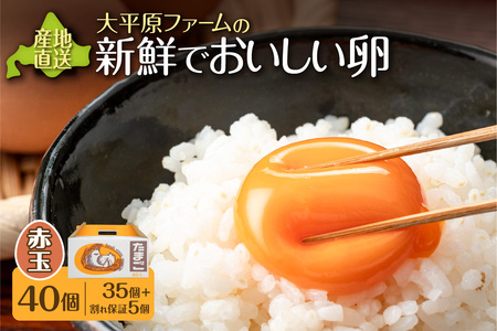 大平原ファームの新鮮でおいしい卵(赤卵) 40個[北海道 清水 赤卵 卵 40個 こだわり卵 卵かけご飯 玉子 タマゴ 卵焼き TKG 温泉卵 オムレツ ゆでたまご 栄養満点 国産]