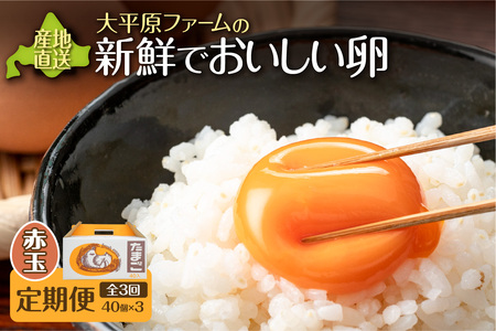 [3回定期便]大平原ファームの新鮮でおいしい卵 計40個(赤卵)×3ヶ月[北海道 清水 120個 赤 こだわり 卵かけご飯 玉子 タマゴ 卵焼き TKG 温泉卵 オムレツ ゆでたまご 栄養満点 国産 定期便]