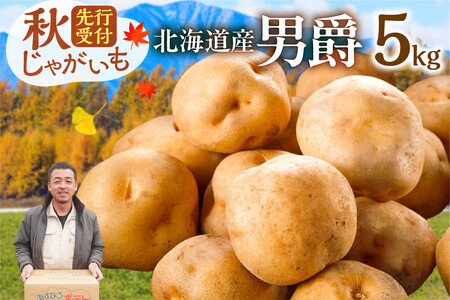 じゃがいも 男爵 5kg[やっぱり定番!ホクホク食感が魅力の「男爵いも」 先行受付!ホクホク!しっとりなめらか! 北海道産 男爵 いも じゃがいも 男爵いも 約5kg じゃがいも いも 芋 産地直送 秋]