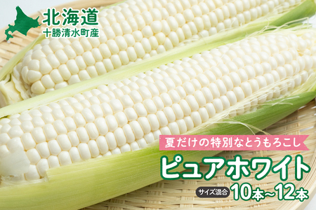 [2025年8月〜発送開始!]北海道十勝清水町産 白いとうもろこし ピュアホワイト サイズ混合 10〜12本 [北海道産 2025年 とうもろこし とうきび 産直 産地直送 清水町 北海道 ]